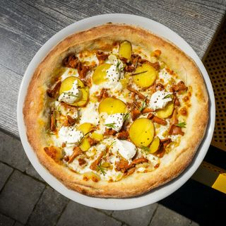 BOSCO BIANCO