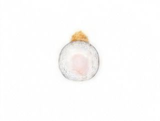 HOSOMAKI Z KREWETKĄ, KREMOWYM SERKIEM I PANKO 