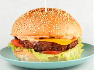 Burger dzikus