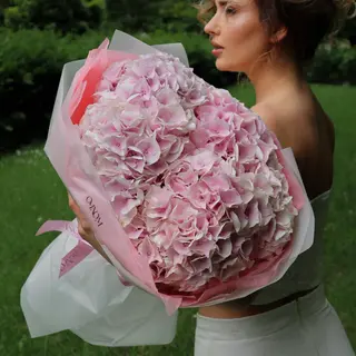 Pompon