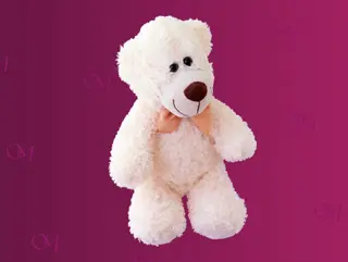 Miś TEDDY