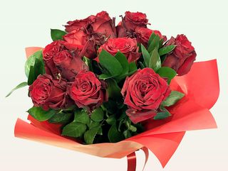 Bukiet czerwonych róż