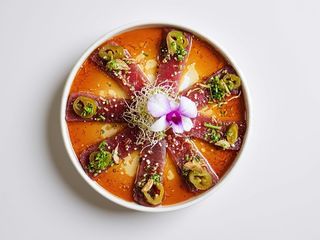 Sashimi new style tuna