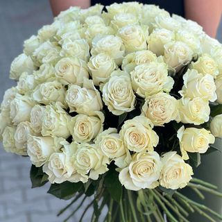 Bukiet 50 białych róż