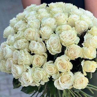 50 Białych róż