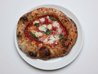 Knut 30cm...-sos, kebab, ser owczy....