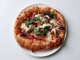 Knut- 50cm.....sos, kebab, ser owczy....