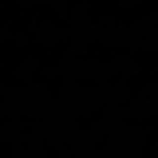 Zupa rozmaitości