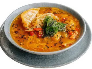 Koreańska zupa z kaczką i smażonymi pierożkami gyoza