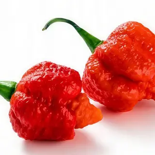 Naga mega ostry