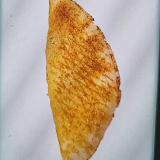 Daily Rollo Special (Nowość) Średni
