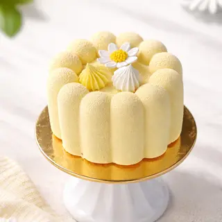 Bento Torcik