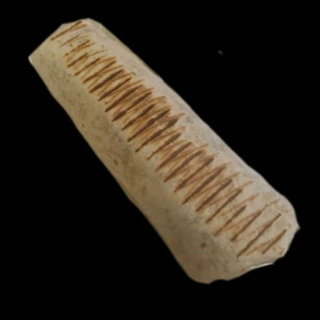 Mała Tortilla samo mięso