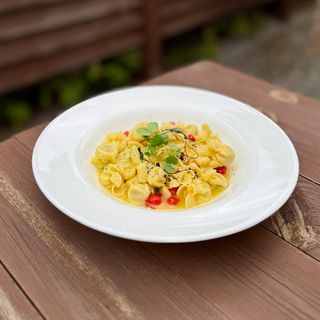 FIOCCHETTI CON GORGONZOLA