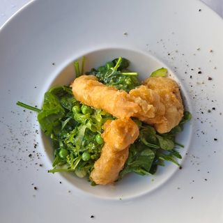 Insakata Verde