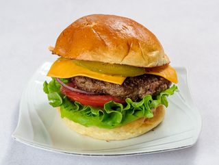 Hamburger