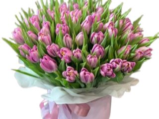 Flower box z 49 fioletowych tulipanów