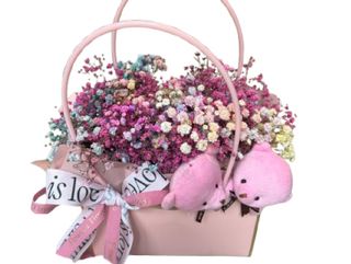 MISIE W gipsówkowej chmurze