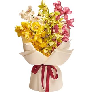 Mono bukiet Storczyk