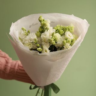 Biała eustoma – 5 gałązek