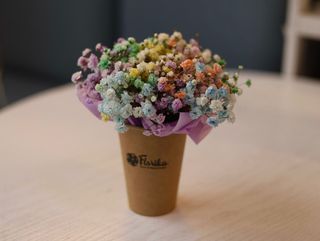 Kolorowa gipsówka w  kubeczku