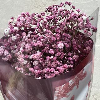 Bukiet różowej gipsówki