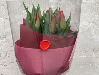 Bukiet 11 pastelowych tulipanów w ozdobnym opakowaniu