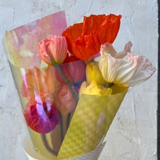 Ekskluzywny bukiet delikatnych maków