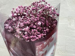 Bukiet czerwonej gipsówki w ozdobnym opakowaniu