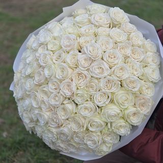 51 białych róż Premium