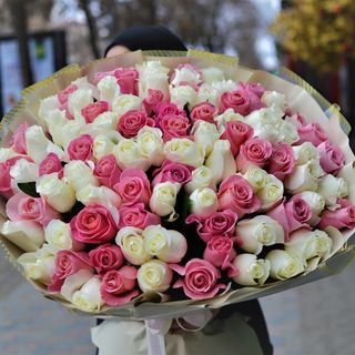 101 mix róż „Pink and White”