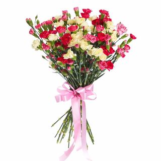 25 kolorowych mini goździków