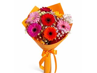 7 kolorowych mini gerber - bukiet