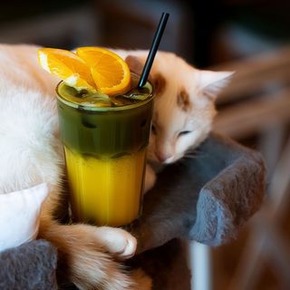 Iced Orange Matcha 300ml