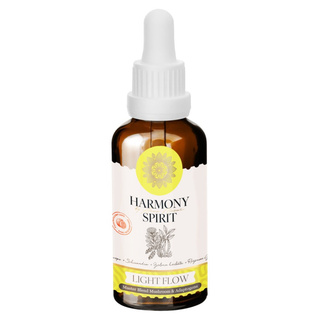 Light Flow - Cordyceps + Schisandra