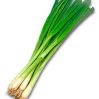 Szczypiorek