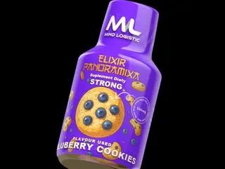 ELIXIR PANORAMIXA – Blueberry Cookies 100ml 500mg