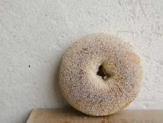 Bajgiel z białym makiem