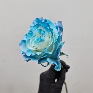 Roża niebieska 60 cm.