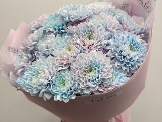 Bukiet z kolorowej chryzantemy 5 szt