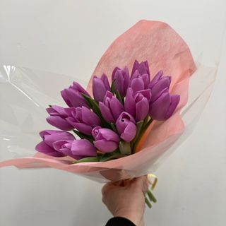 ulipany lawendowe 15 szt