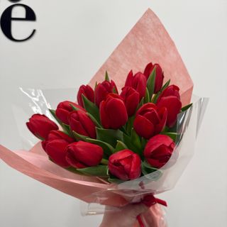 Tulipany czerwone 15 szt