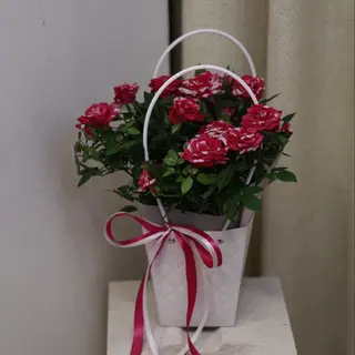 Róźa