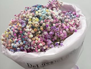 Bukiet z kolorowej gipsofili