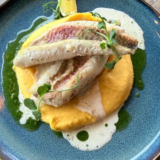 Barwena filet