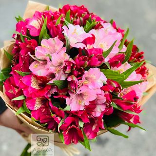 Bukiet kolorowych Astromerii 15 szt Mix kolory dnia