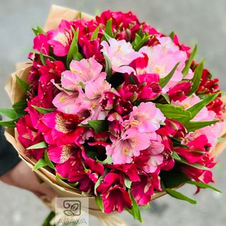 Bukiet kolorowych Astromerii 9 szt Mix kolory dnia