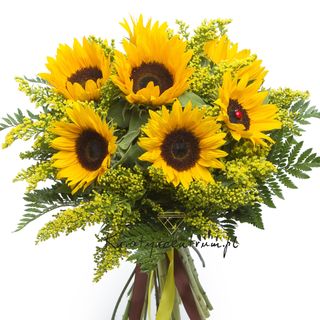 Bukiet Słoneczników 11 szt z delikatnym przybraniem 