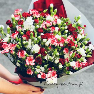 Bukiet kolorowych Goździków 15 szt Kolory dnia 