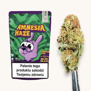Susz CBD z akcyzą Cannabis Spot Amnesia Haze CBD 5 g